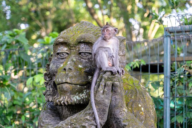 3 Days for the best of Ubud Private Tour - Day 1: Sacred Monkey Forest, art market browsing, palace views