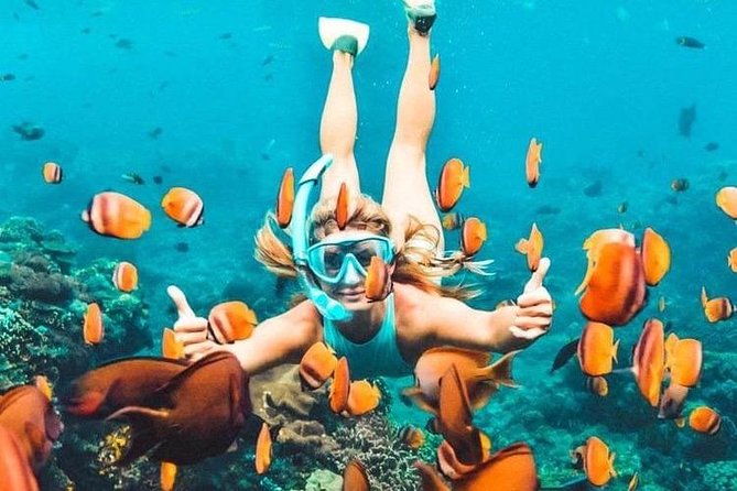 All Inclusive : Bali Blue Lagoon Snorkeling, Lunch, and Transport - Getting from Ubud to Padangbai: timing and road reality