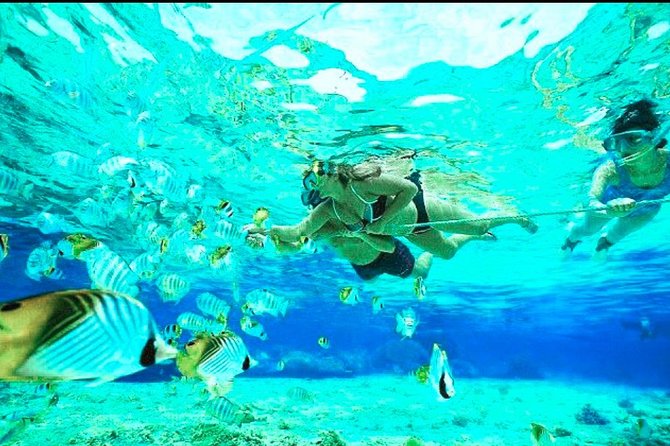 All Inclusive : Bali Blue Lagoon Snorkeling, Lunch, and Transport - Tanjung Jepun: your second reef stop, with more chances