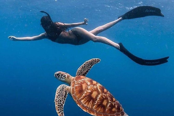 All Inclusive : Bali Blue Lagoon Snorkeling with Lunch &Transfers - Key Highlights You’ll Feel Immediately