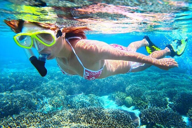 All Inclusive : Bali Blue Lagoon Snorkeling with Lunch &Transfers - Gear, Comfort, and the Jellyfish Reality Check