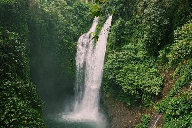 All Inclusive : Jumping Sliding at Aling- Aling Waterfall - Handara Gate - Lunch - Coffee plantation stop: what you learn before the sip