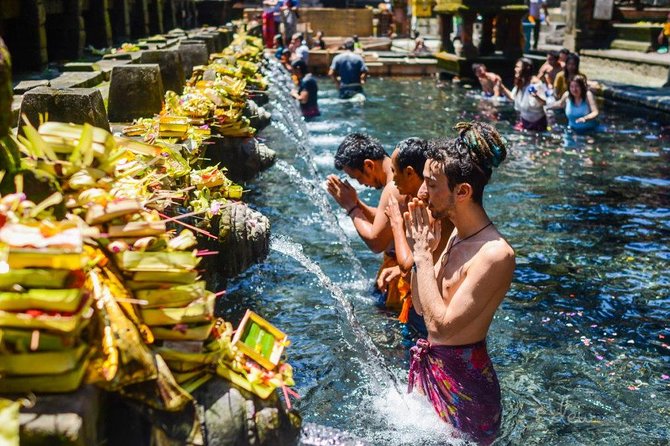 All-Inclusive Ubud Private Tour - Lunch at D Alas Warung: Jungle Views Plus the Swing Energy