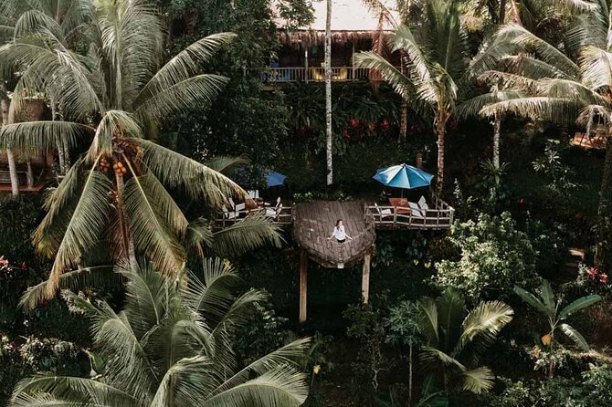 All-Inclusive Ubud Private Tour - Tirta Empul Temple: Holy Springs and a Purification Ceremony