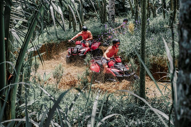 ATV Quad Bike Bali with Waterfall Gorilla Cave and Lunch - Riding near Budu rice paddies and through villages