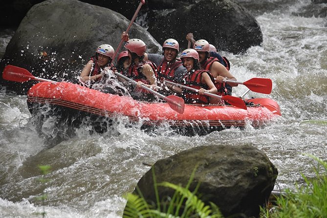 Ayung Rafting Ubud (Include Lunch & Return Transportation) - Key points worth knowing before you go