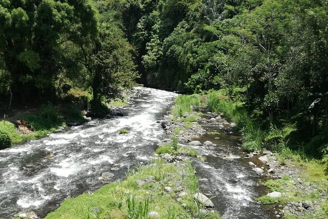 Ayung Rafting Ubud (Include Lunch & Return Transportation) - On the water: guide humor, teamwork, and where the fun comes from