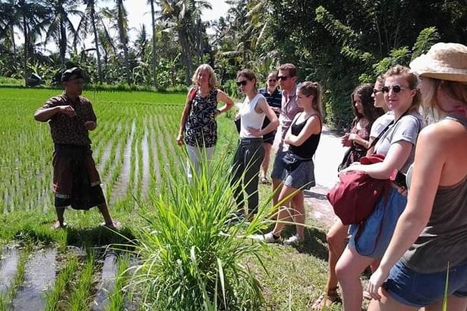 Bali Amazing Cooking Class - What you eat afterward: lunch or dinner you actually helped make