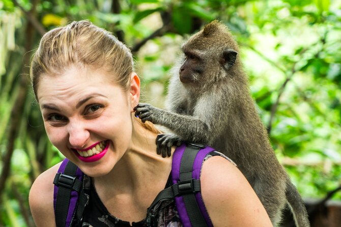 Bali ATV Quad Bike Adventures - Safety Gear, Insurance, and the Real-World Risk Check