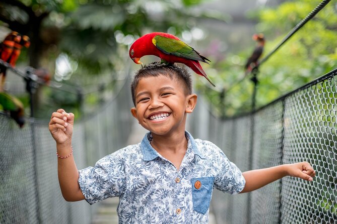 Bali Bird Park Admission Ticket - Why Bali Bird Park Fits a Smart Ubud Day