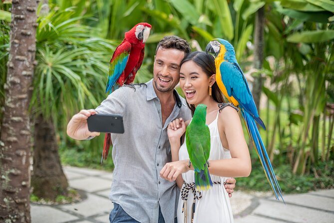 Bali Bird Park Admission Ticket - Bird Shows You Can Plan Around (Free Flight and Prey)