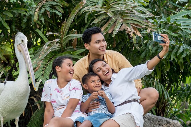 Bali Bird Park Admission Ticket - What You’re Really Paying For at Around $18.82