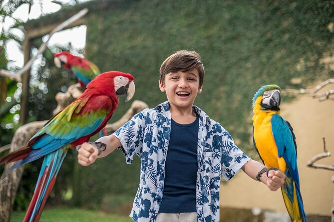 Bali Bird Park Admission Ticket - Who This Bird Park Ticket Suits Best