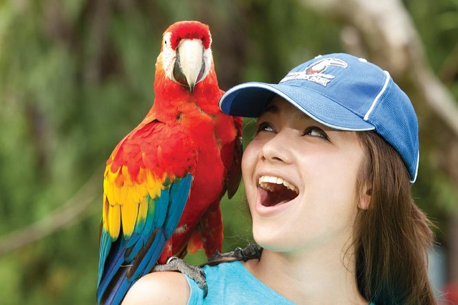 Bali Bird Park Admission Ticket - The Feeding Experiences: Close, Hands-On Moments