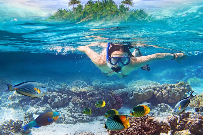 Bali Blue Lagoon Snorkeling Experience - Padangbai in a single day: Blue Lagoon and Tanjung Jepun