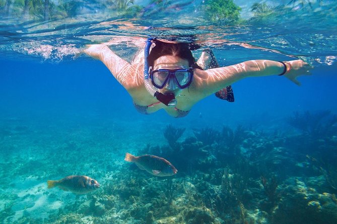 Bali Blue Lagoon Snorkeling Experience - Tanjung Jepun: the second stop that keeps the day from feeling repetitive