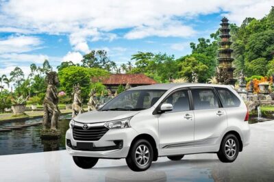 Bali Car Hire with Driver - Ubud-style days: culture, nature, and photo stops that fit