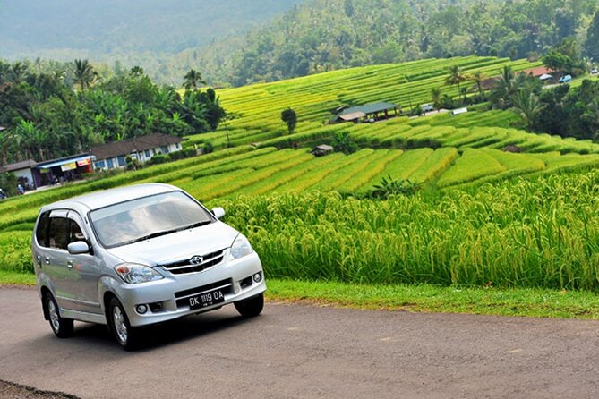 Bali Car Hire with Driver - Comfort, communication, and the small things that matter