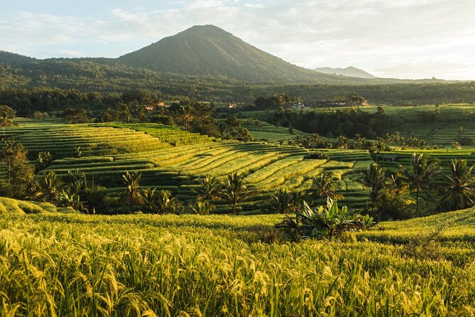 Bali Charm: Full-Day Bedugul and Tanah Lot Tour (UNESCO) - All Inclusive Tickets - Ulun Danu Bratan at Lake Beratan: lake-side water temple with real atmosphere