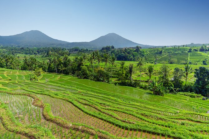 Bali Charm: Full-Day Bedugul and Tanah Lot Tour (UNESCO) - All Inclusive Tickets - Tanah Lot Temple: the sea-temple classic, tide-dependent drama included