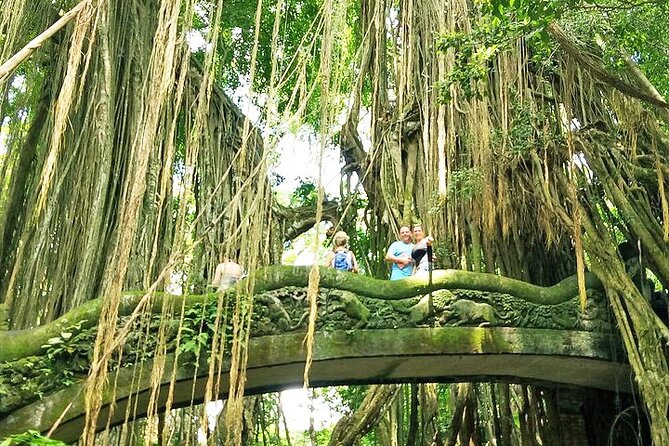 Bali Cooking Class and Ubud Sightseeing Tour - How long it takes, and how to plan without stress