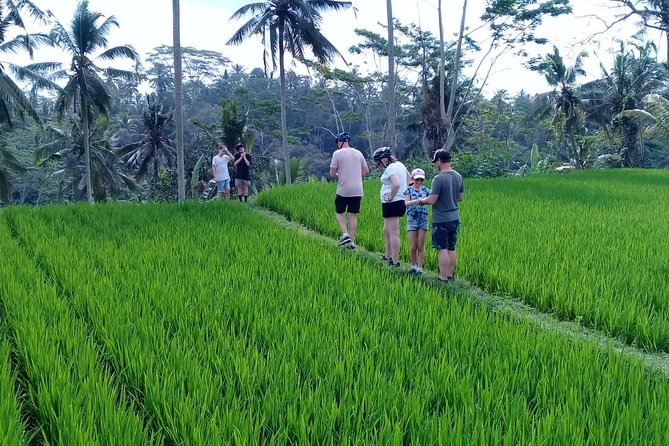 Bali Countryside Cycling Adventure - Key things that make this ride work so well