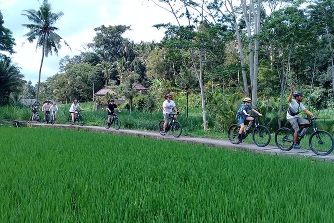 Bali Countryside Cycling Adventure - Pura Taman Narmada Bali Raja and the watery pause before lunch