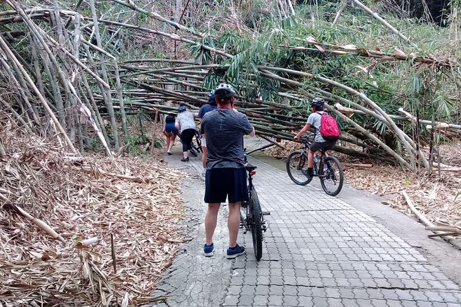 Bali Countryside Cycling Adventure - Price and value: why $58 can feel like a steal here