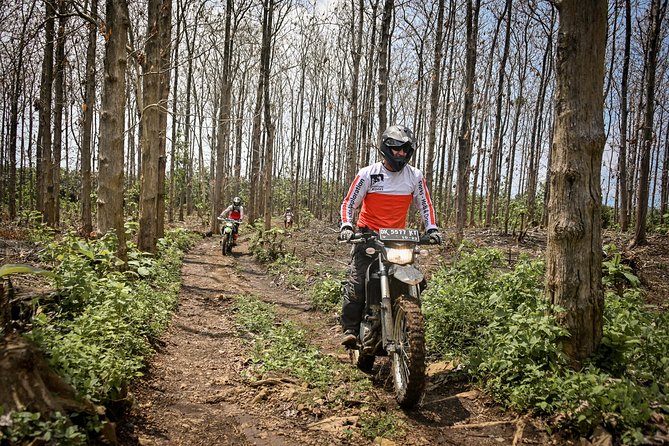 Bali Dirt Bike Adventure - Mount Agung forest trails: get a volcano close-up