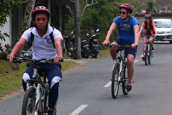 Bali Downhill Cultural Cycling Tour - Why Ubud’s downhill bike day feels like the Bali you want