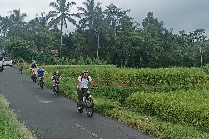 Bali Downhill Natural Cycling Tour & visit Volcano - Lunch at Banjar Laplapan: Balinese food with real choice