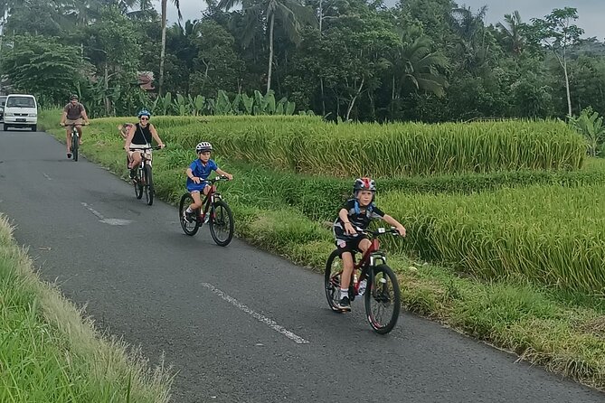 Bali Downhill Natural Cycling Tour & visit Volcano - Price and value: what $50 gets you in Ubud