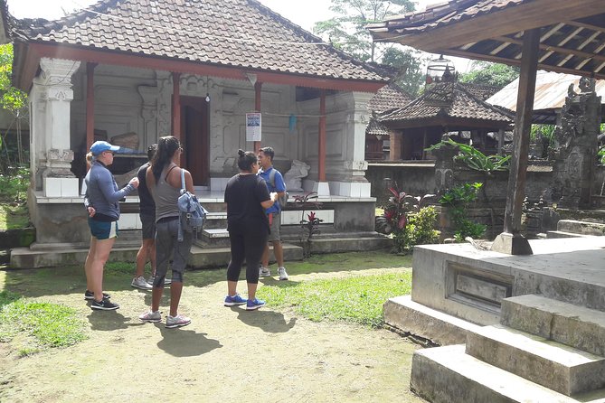 Bali Eco & Educational Cycling Tour - Getting There: Hotel Pickup, Air-Conditioned Comfort, and a 7:00 am Start