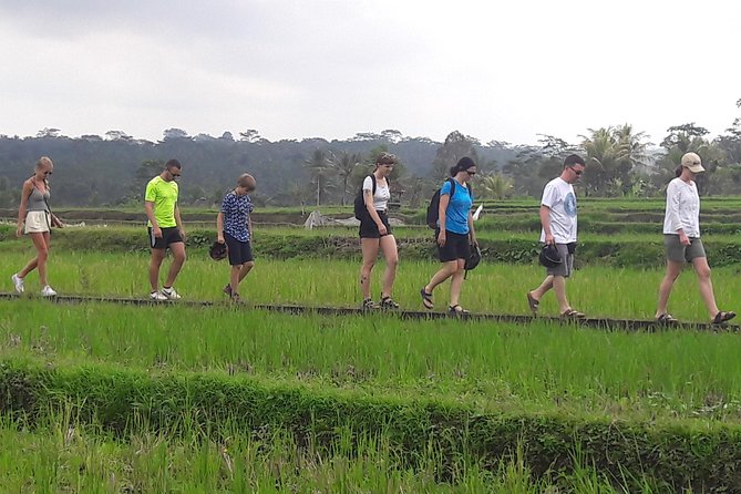 Bali Eco & Educational Cycling Tour - The Ride: Downhill Mountain Biking on Rural Back Roads
