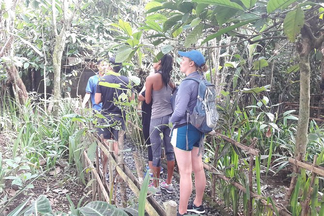 Bali Eco & Educational Cycling Tour - Family Comfort and Safety: Baby Bike Seats and Australian-Standard Gear