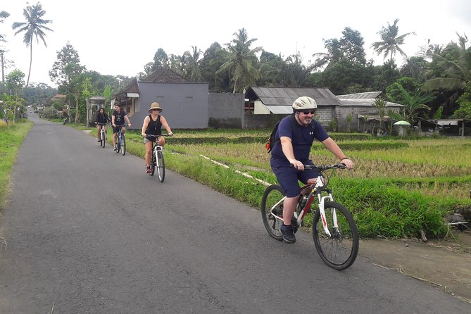 Bali Eco & Educational Cycling Tour - Transport and Group Size: Why This Tour Likely Feels Manageable