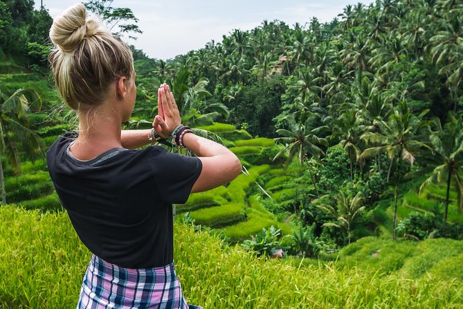 Bali Full Day Tour: Highlights of Ubud and Hidden Waterfall - Stop 1: Sacred Monkey Forest Sanctuary (and how to handle the chaos safely)