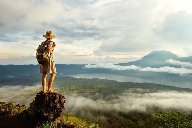 Bali Full Day Tour: Highlights of Ubud and Hidden Waterfall - Stop 2: Tegalalang Rice Terrace (walk the fields, then take a breath)