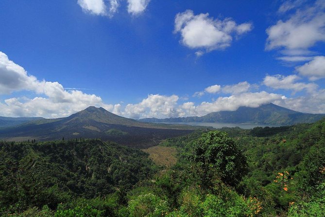 Bali Iconic Tour with Buffet Lunch and Attraction Tickets - The buffet lunch that earns its place: Grand Puncak Sari