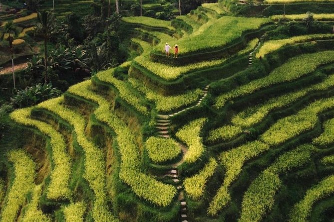 Bali Instagram Tour - All Inclusive - Sunrise at Lempuyang Temple and the Gate of Heaven photo angle