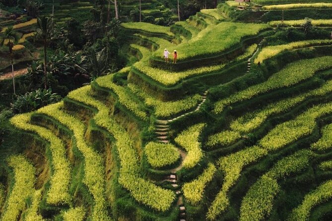 Bali Instagram Tour - All Inclusive - Lunch at Lereng Agung: refuel with Mt. Agung in view