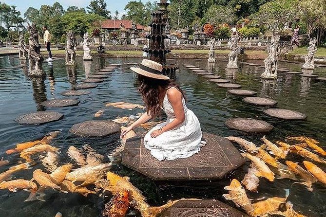 Bali Instagram Tour - All Inclusive - Tegalalang Rice Terrace at the end of the day