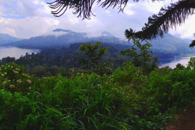 Bali Jungle Trekking and Lake Canoeing Tour - Small-Group Trekking: The Difference Between Crowds and Control