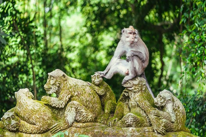 Bali Private Tour - Best of Ubud - All Inclusive - A Private Best of Ubud Day: What You’re Really Buying