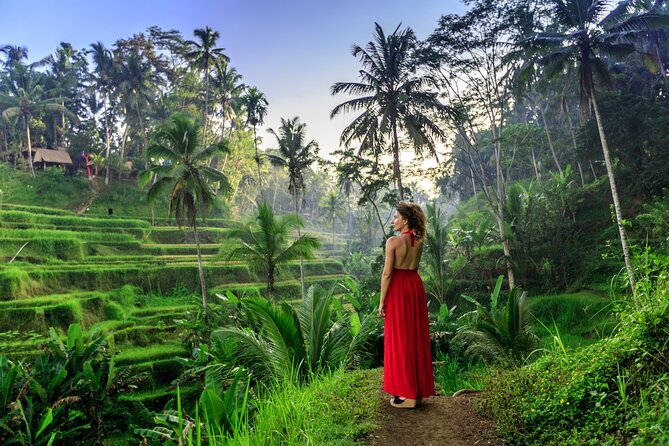 Bali Private Tour - Best of Ubud - All Inclusive - Sacred Monkey Forest Sanctuary: See It, Move Smart