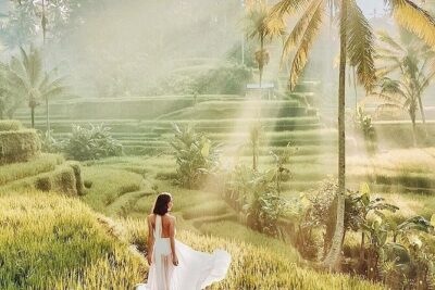 Bali Private Tour - Best of Ubud - All Inclusive - Pickup, Air-Conditioned Ride, and How the Day Flows