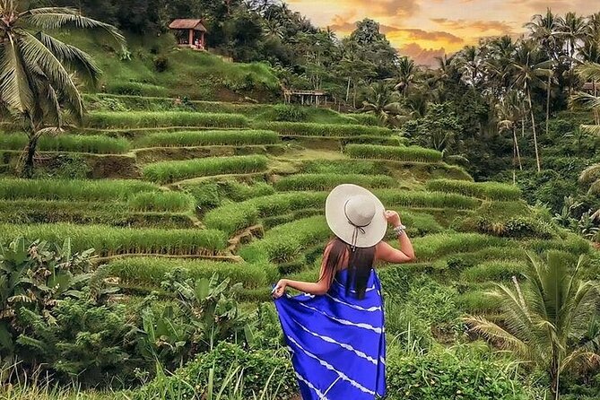 Bali Private Tour - Best of Ubud - All Inclusive - Tirta Empul Temple: The Myth Behind the Water