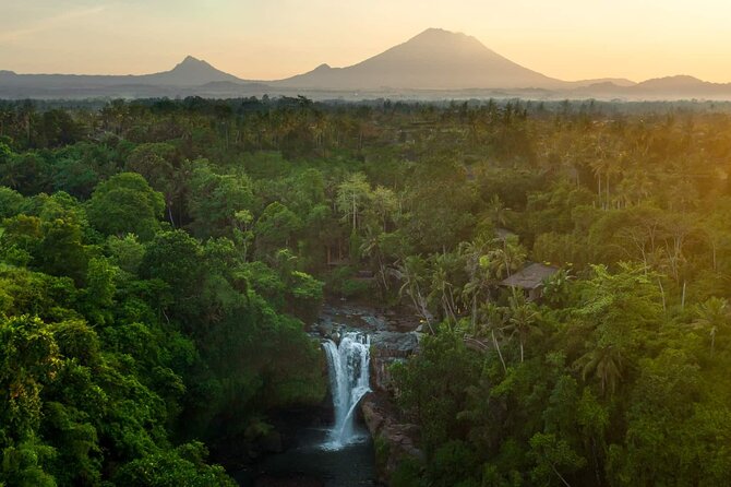 Bali Private Tour - Best of Ubud - All Inclusive - What’s Included vs. Lunch: Your Cost Checklist