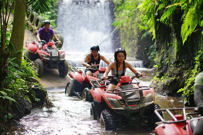 Bali Quad Bike Through Gorilla Cave - Monkey Forest and Waterfall - Getting picked up in Ubud and heading to Alasan Adventures