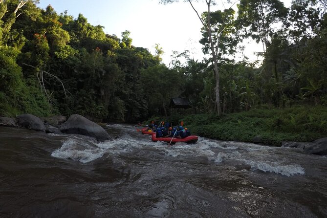 Bali Rafting - What’s Included in the Price (and What You’ll Pay For Elsewhere)